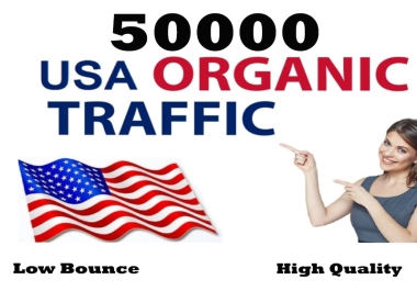 50000 USA Targeted Organic Website Traffic
