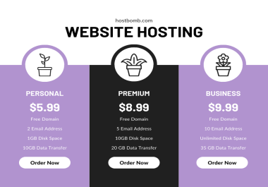 Give you the web hosting plan with domain name included