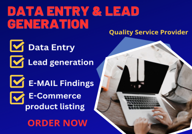 I will do Expert Data Entry and Lead Generation Services