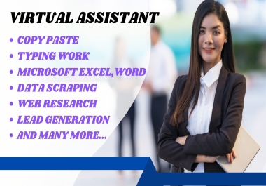 I will be your professional admin and personal virtual assistant