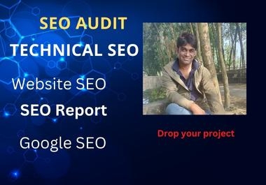 I will do SEO audit on your website and complete the action plan