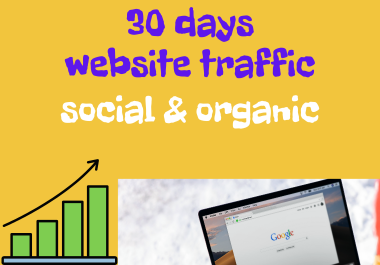 Real & Unique Organic Traffic Your website