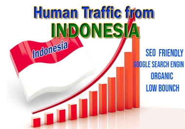 INDONESIA Country Targeted Traffic real Indonesian website traffic for keyword targeting