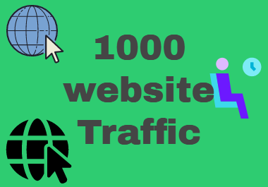 1000 website traffic or visitor from SME