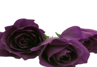 I will remove the background of your pictures in 20 minutes