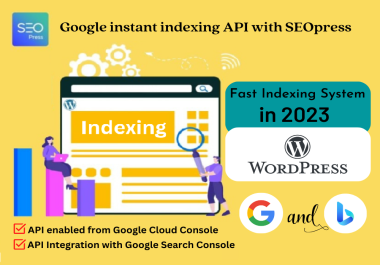 I will setup Instant Google Indexing API via SEOpress for WordPress