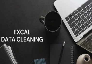 Excel data entry,  excel data cleaning,  copy paste,  typing