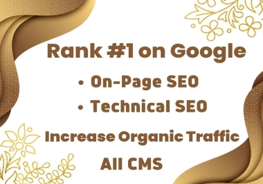 I will do technical and On Page SEO for traffic