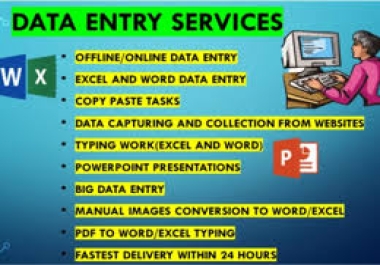 I am the king of copy & paste,  data entry. I will do excel & WordPress data entry tasks