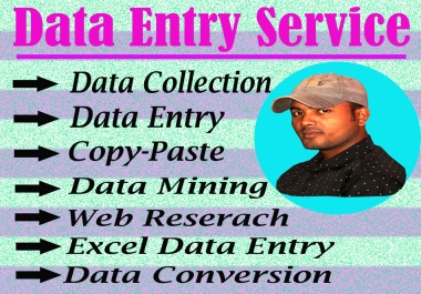 I will Do Data Entry,  Data Typing,  Copy & Paste,  PDF Convert works for SEO.