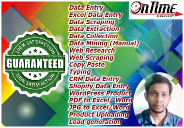 I will do data entry copy paste web research and excel data entry
