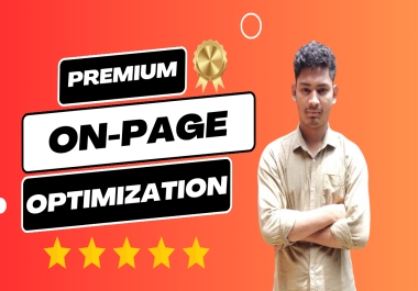 I will do proffesionally On-Page SEO Optimization for your website