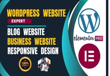I will design redesign copy clone duplicate wordpress blog website