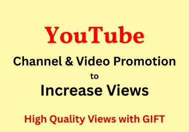 3000 YouTube video view via Google Ads Promotions