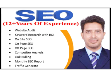 I will do complete monthly on page SEO backlink package for high quality link building