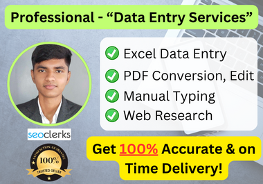 I'll Do Fast Excel Data Entry,  Copy Paste,  Typing,  PDF Conversion