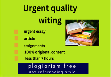 Expert Essay Writer Crafting Compelling Content with Precision and Clarity within 24 hours