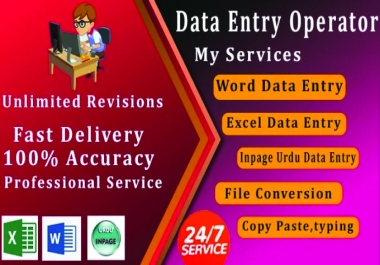 You will get excel data entry, cleaning and formatting service