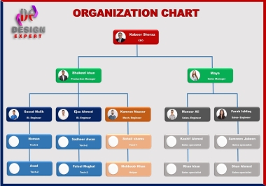 I will design professional organization chart,  workflow charts and infographics chart