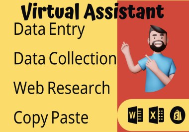 Data Entry Copy Paste And web research