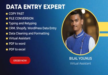 I will do excel data entry,  typing,  copy paste,  data entry
