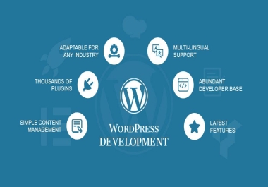 I will provide wordpress developer services