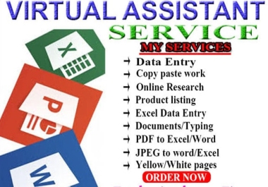 I will be your Data entry operator,  Virtual assistant,  copy paste and typing jobs