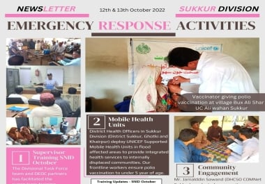 Newsletter Designing As Per Your Demand