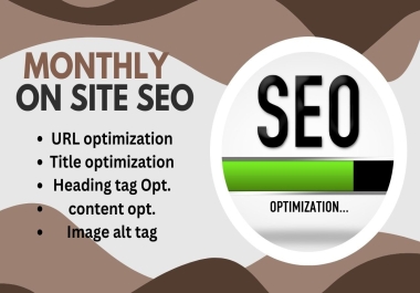 I will do complete monthly on page organic SEO optimization for google top ranking