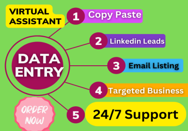 I will provide data entry,  data mining,  web research and copy paste, Virtual assistant