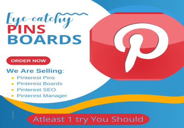 I will be your Pinterest Manager for 1 day