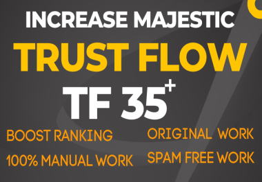 I Will increase your website trust flow to 35 plus