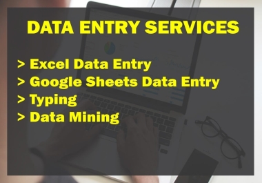 Data entry and google search campaign professional