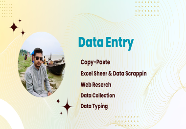 I will do Data Dntry, Data Collection, Web Research Copy Paste of Excel Sheet