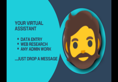 I will be your virtual assistant for data entry and account management for 3day