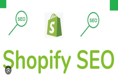 Shopify SEO Services in Delhi India
