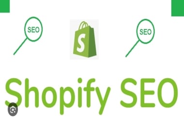 Shopify SEO Services in Delhi India