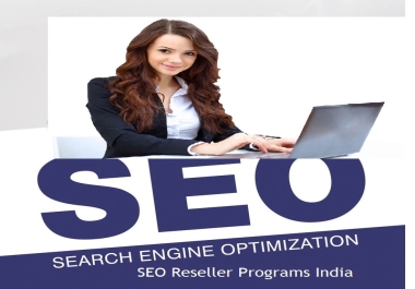 SEO Reseller Services in Delhi India