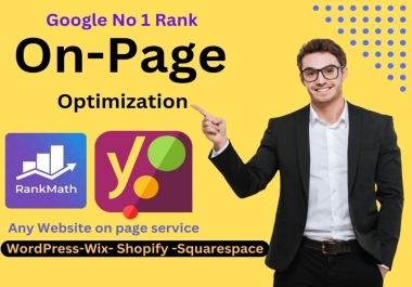 I will Provide On page SEO and free Audit for any website.