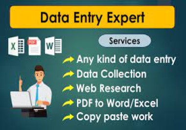 I will do Data Entry,  Typing,  Retyping,  Copy and Paste work - Low price,  accurate and quick delivery