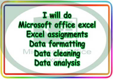 I will do microsoft office excel assignment data formatting clean