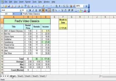 Professional ms excel sheet data entry