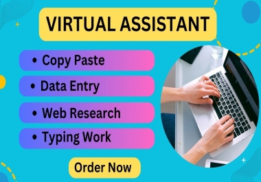 I will do copy paste,  data entry,  data collection,  typing work,  excel or word data entry