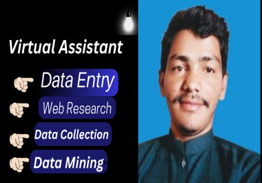 Your virtual assistant for data entry web research data collection