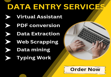 I will provide High-Quality Data Entry Services