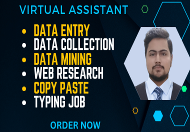 I will do data entry,  copy paste and typing work