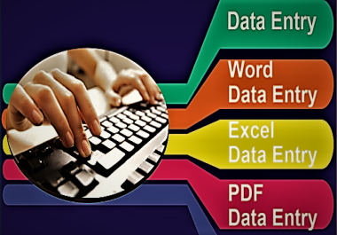 I will Provide Data Entry Services with accuracy on time and as per Client Demand