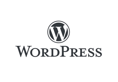 I will design or ecommerce website online store with wordpress