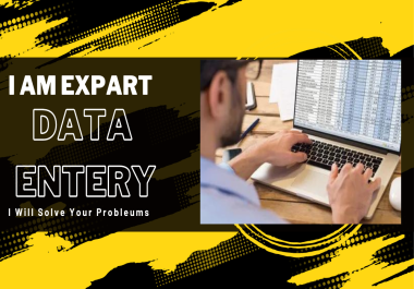 I will be your professional excel data entry or wab research,  copy paste