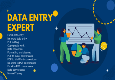 I will do data entry,  Copy paste,  Excel Data entry
